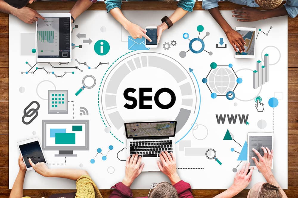 Website Designing and Local SEO Company in Bhopal and Indore
