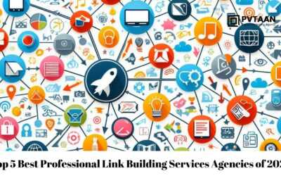 Top 5 Best Professional Link Building Services Agencies of 2024